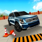 停车挑战3D模拟安卓版下载